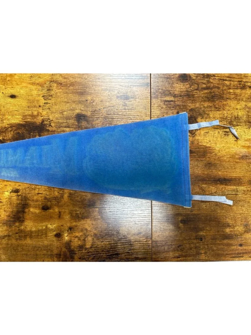 Vintage Miami Beach, Florida pennant